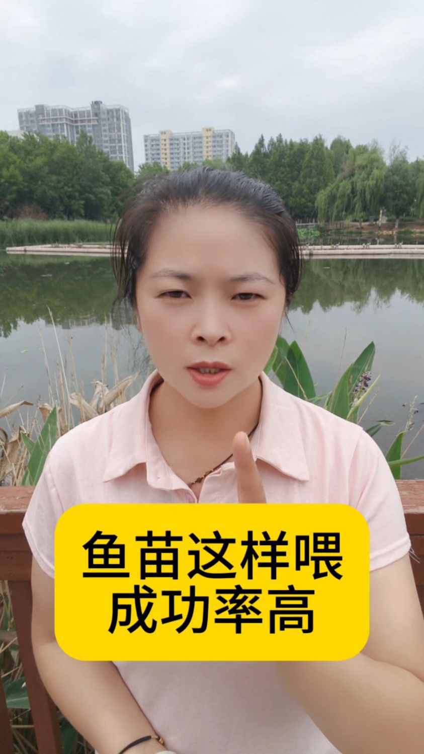 鱼苗这样喂成功率高