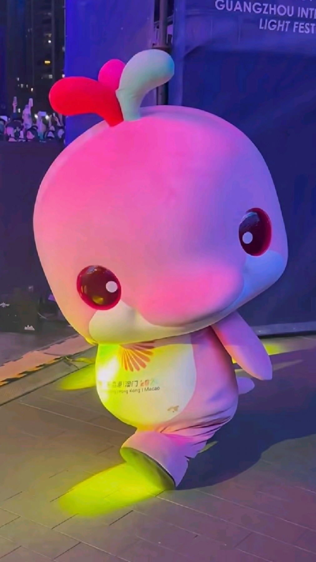 舞王大湾鸡表演完新才艺，小表情好得意啊