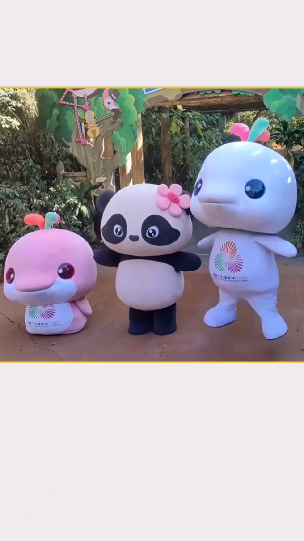 自由发挥是大湾鸡宝宝们最可爱的灵魂