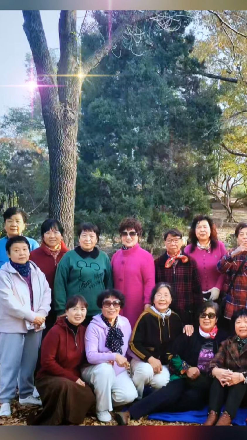 秋林里的“老友派对”,落叶都是欢乐的背景板