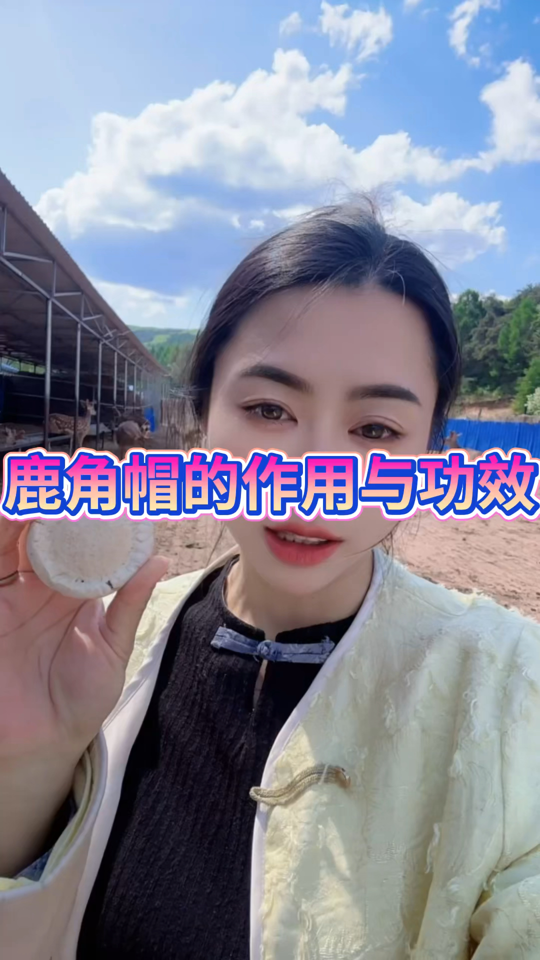 梅花鹿鹿角帽粉的作用与功效有哪些?