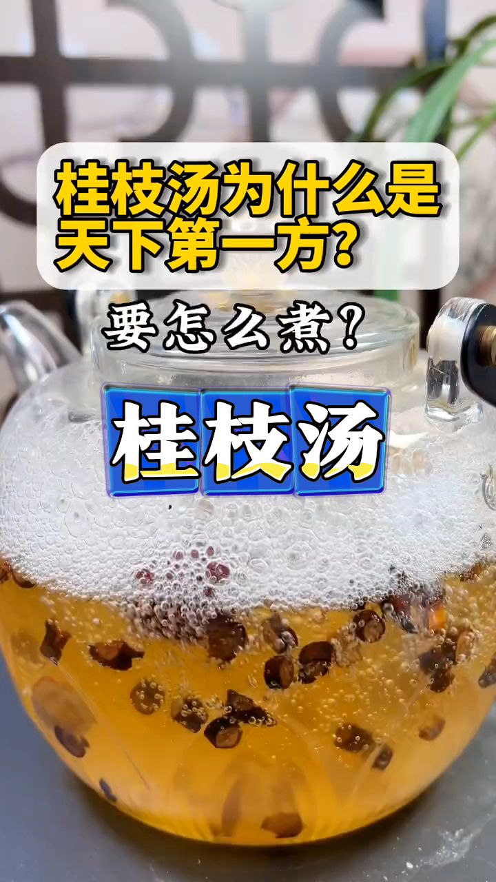 春天到了,大家需要的桂枝汤来了