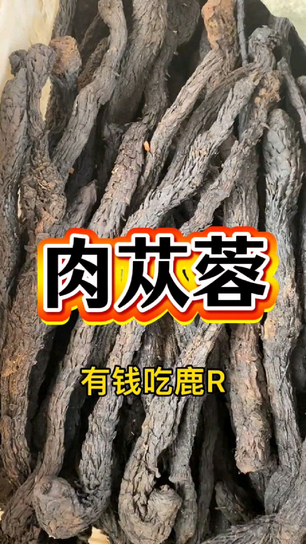肉苁蓉是个宝,泡水喝少不了
