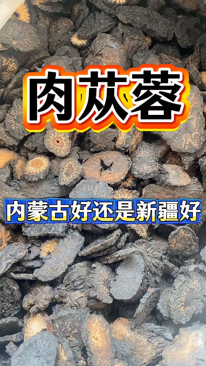 内蒙古和新疆的肉苁蓉,到底哪个好?