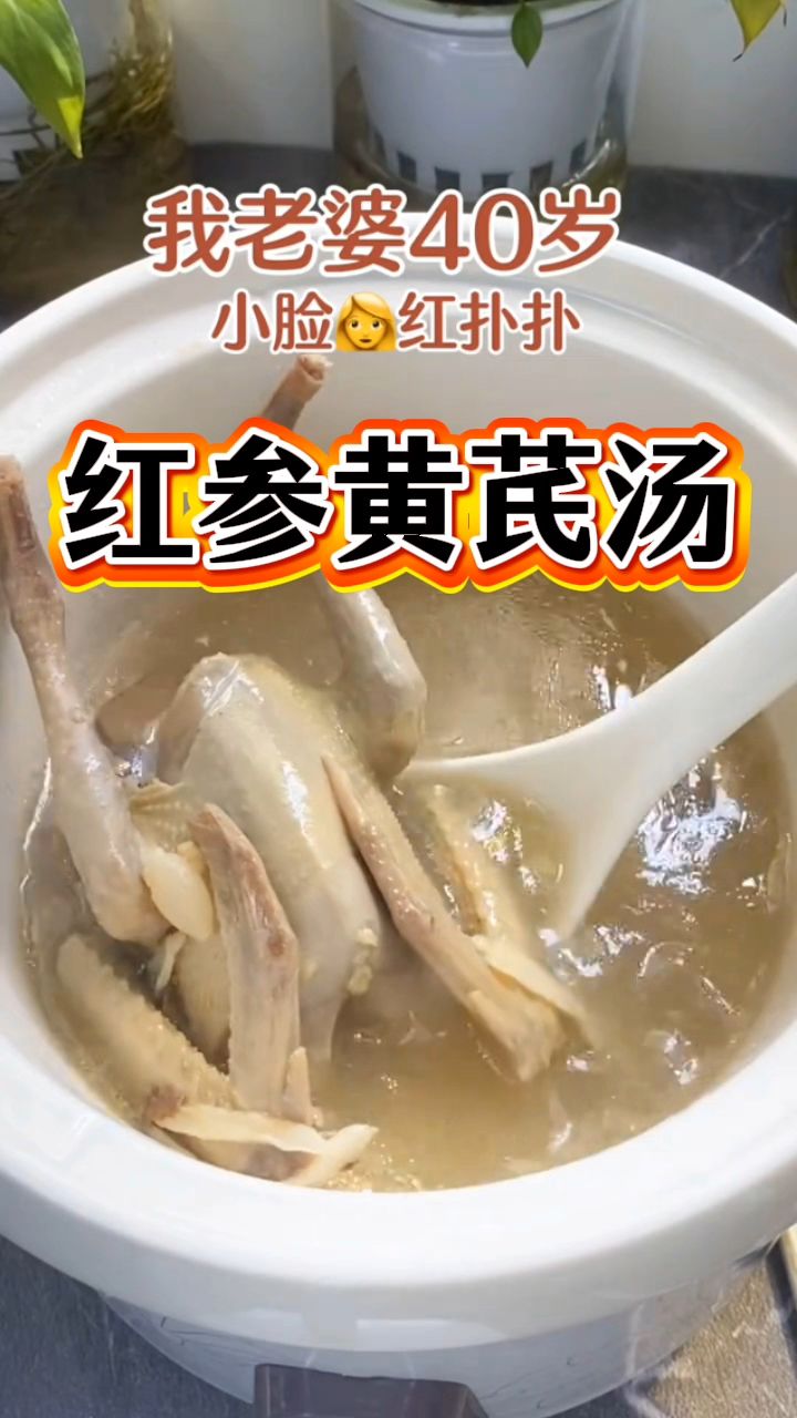红参黄芪炖鸽子,想不补气血都难