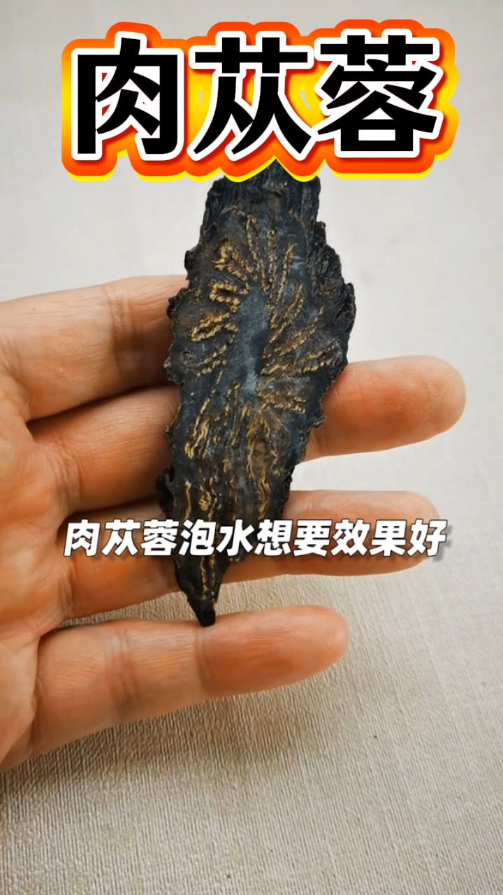 肉苁蓉怎么泡水,才能发挥最大的作用?