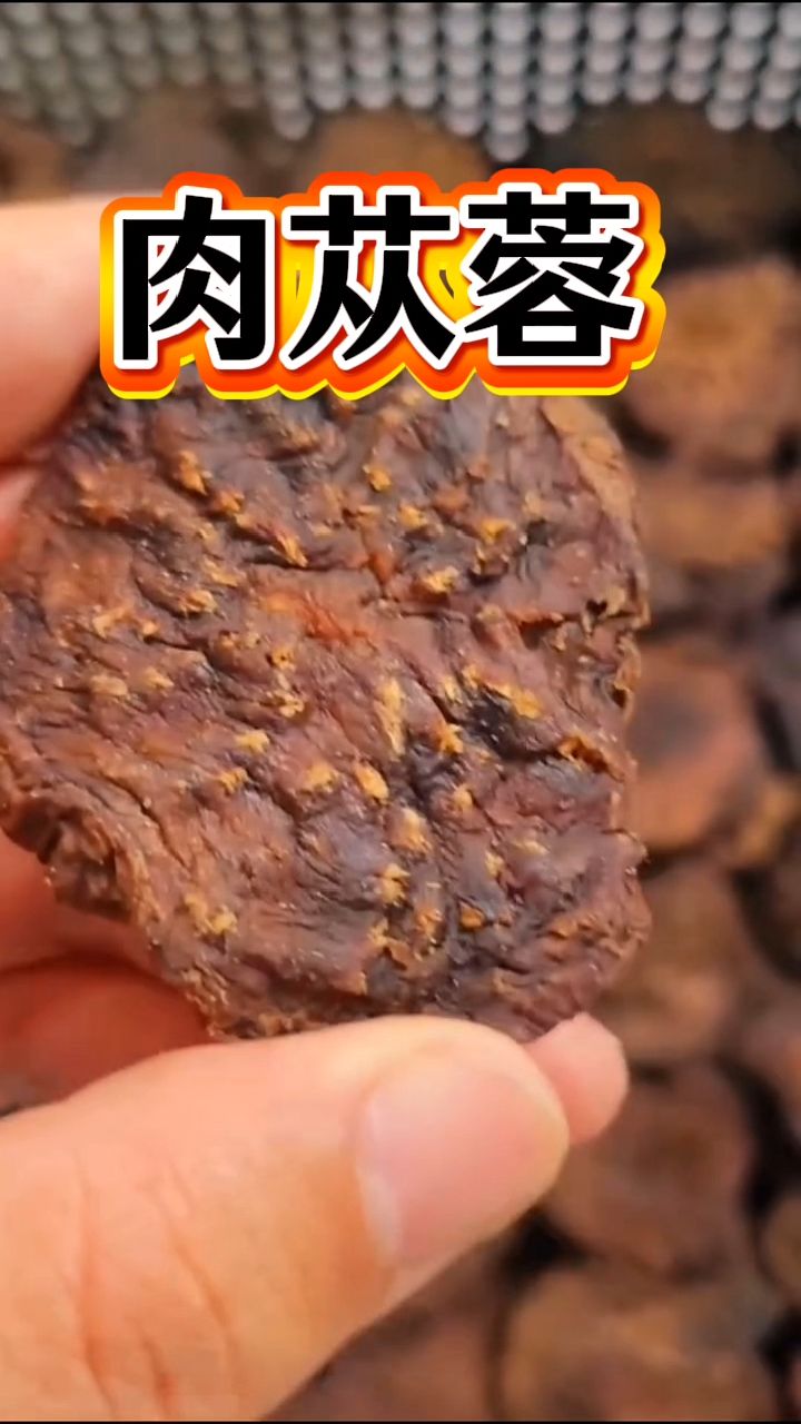 男士们喜欢的阿拉善肉苁蓉来了,可以用来泡水喝!