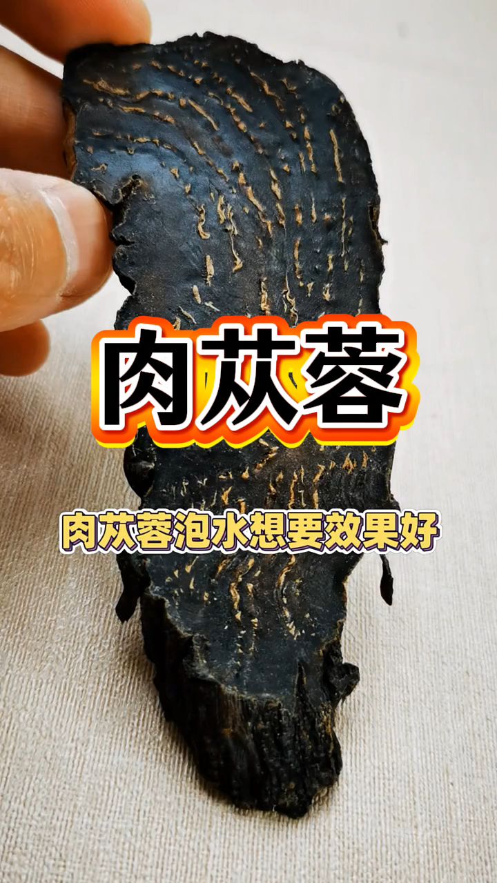很多男士都喜欢肉苁蓉泡水喝