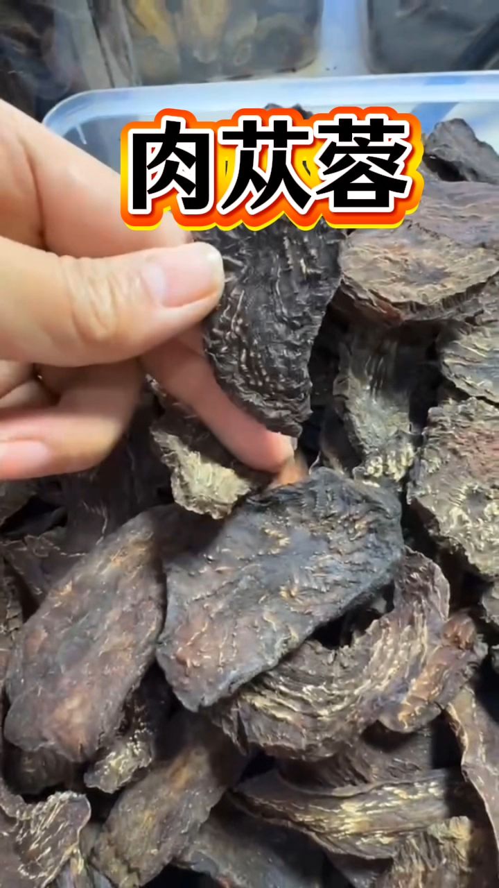 内行的男同胞都在用肉苁蓉泡水喝,你知道有什么用处吗?