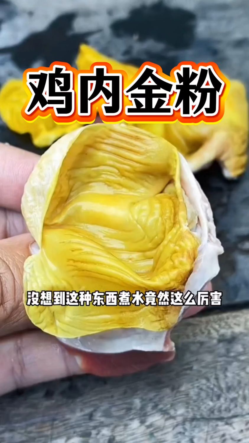 鸡内金粉是个宝，每天一杯冲水喝