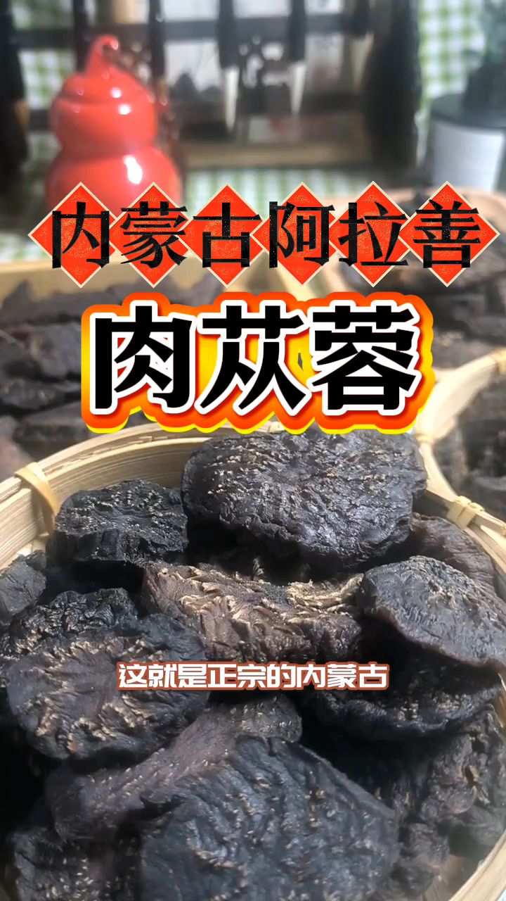 肉苁蓉就属内蒙古阿拉善的好