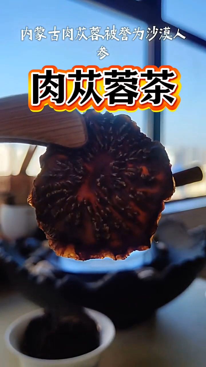 这就是我每天都会泡水喝的肉苁蓉!