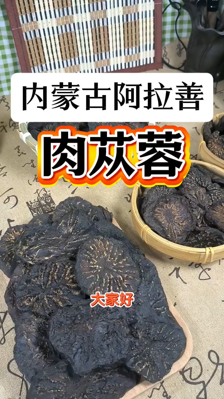 内蒙古阿拉善的肉苁蓉,男士们泡水喝非常好!