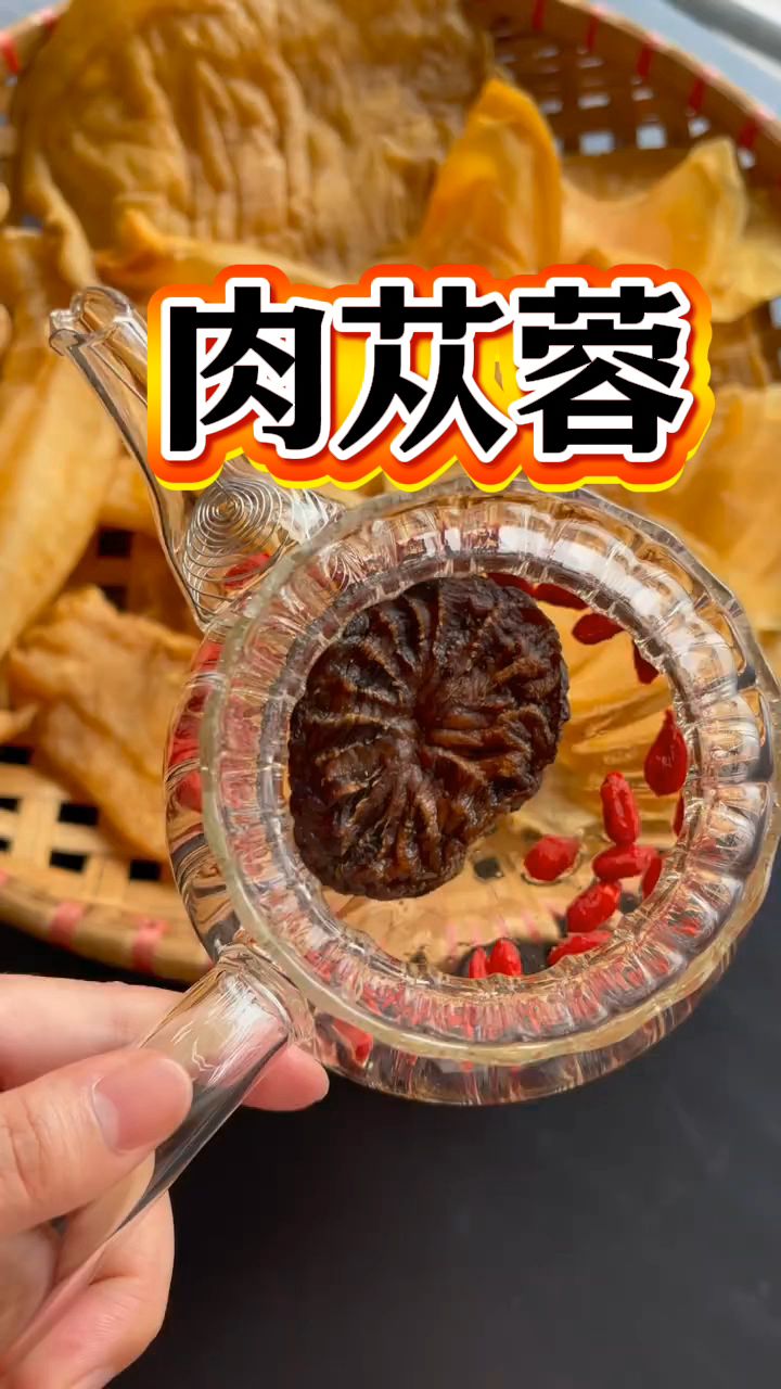 肉苁蓉对男人非常友好,是男士们泡水喝的好搭档!