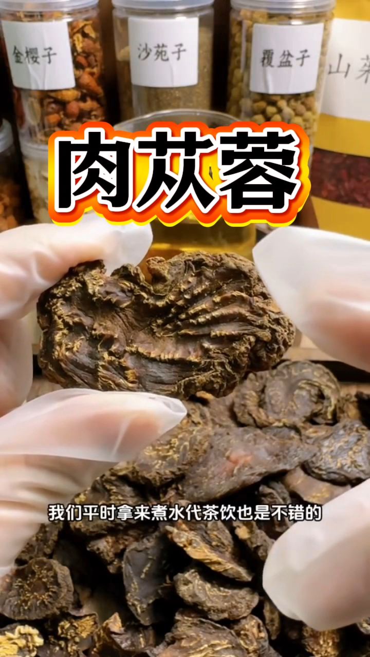 这个就是肉苁蓉,平常拿来泡水喝