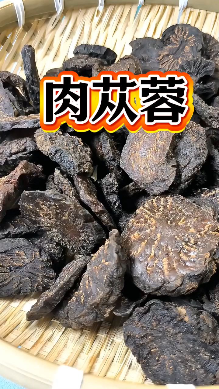 阿拉善肉苁蓉,男人泡水好搭档!