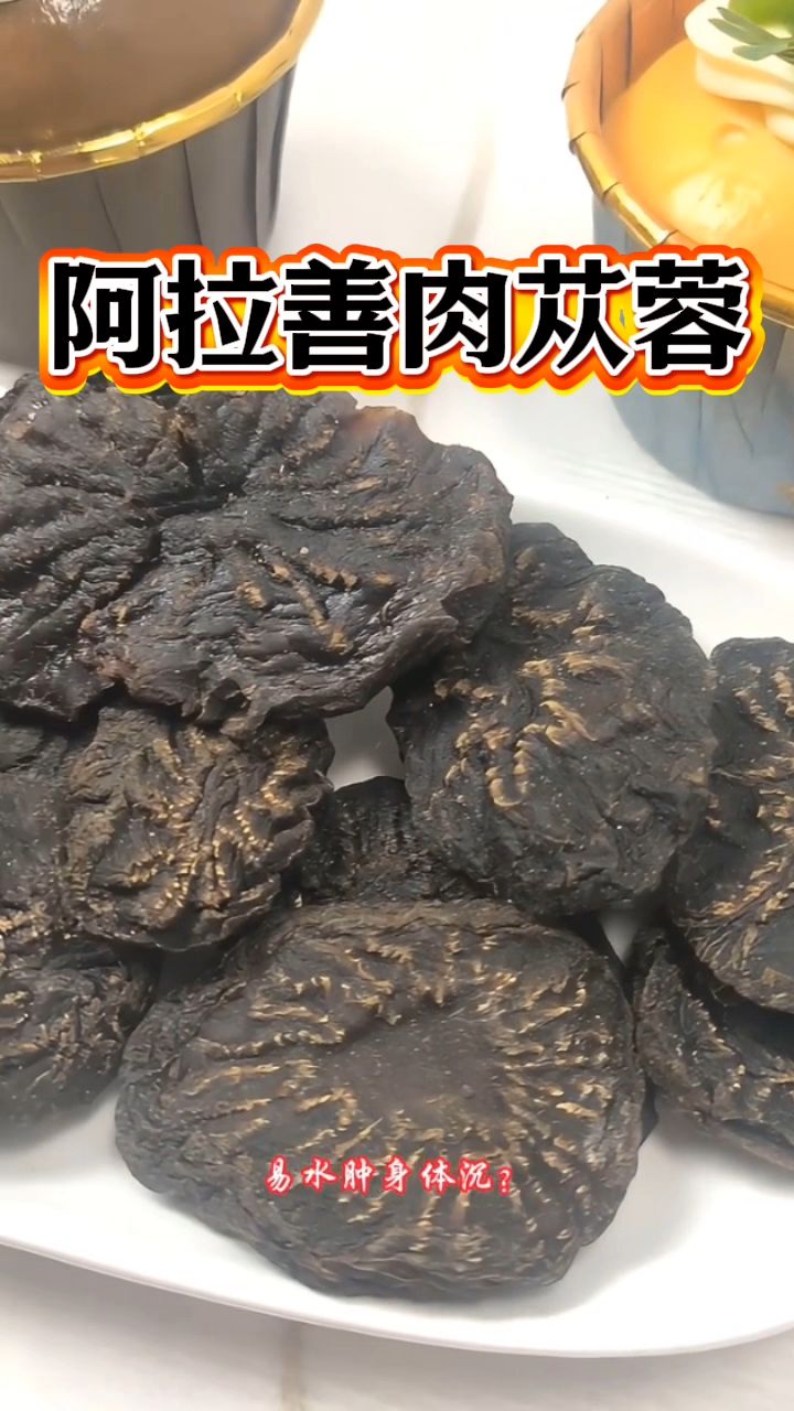 内蒙古阿拉善的肉苁蓉甲天下