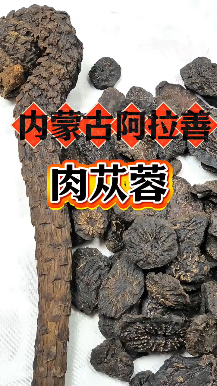 来自内蒙古阿拉善的肉苁蓉,很多中年男人都在泡水喝!