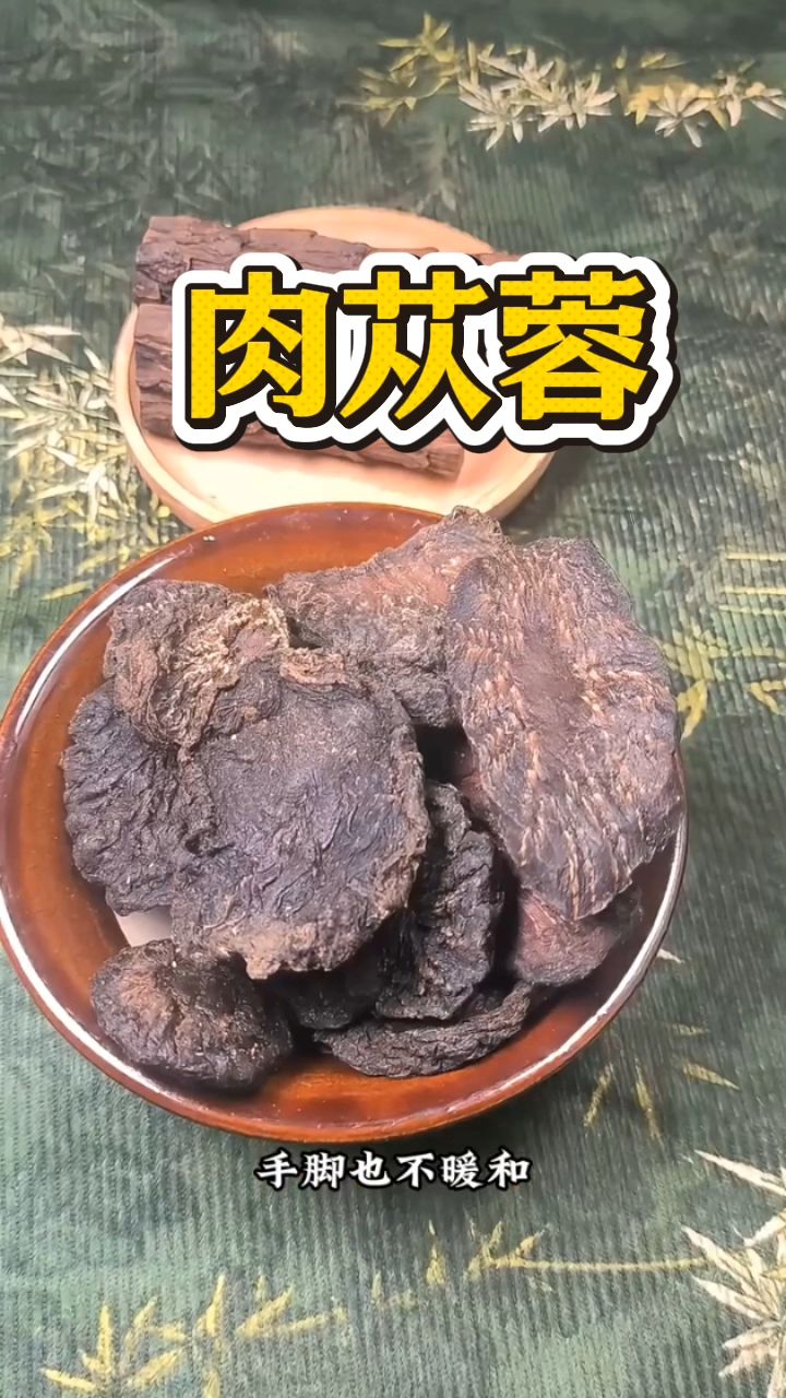 你知道肉苁蓉吗?泡水喝非常好