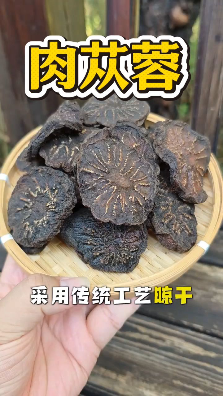 阿拉善大沙漠里的肉苁蓉,男士们泡水喝少不了!