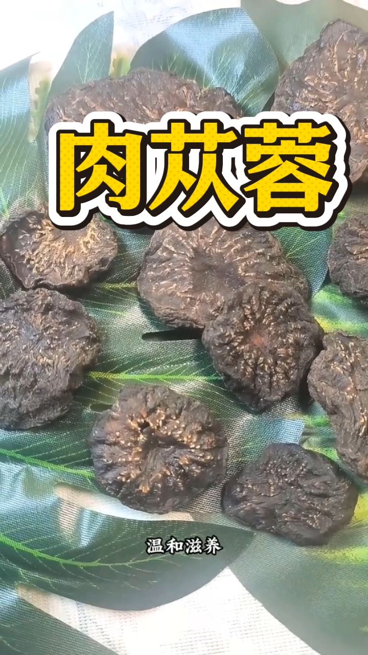 冬天是肉苁蓉泡水喝的好季节