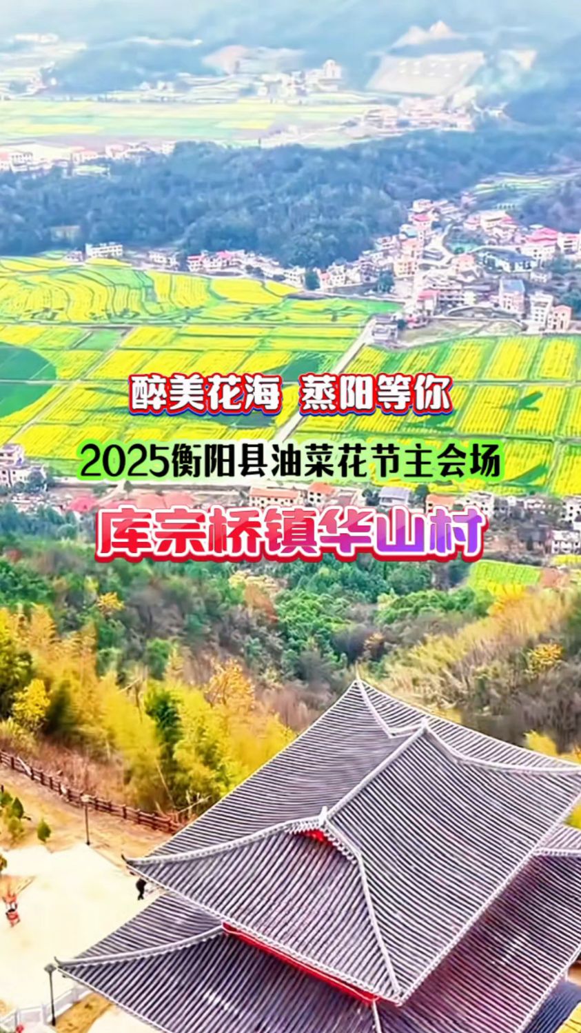 快来赏花!衡阳县第十四届油菜花节今天在库宗桥镇华山村开幕