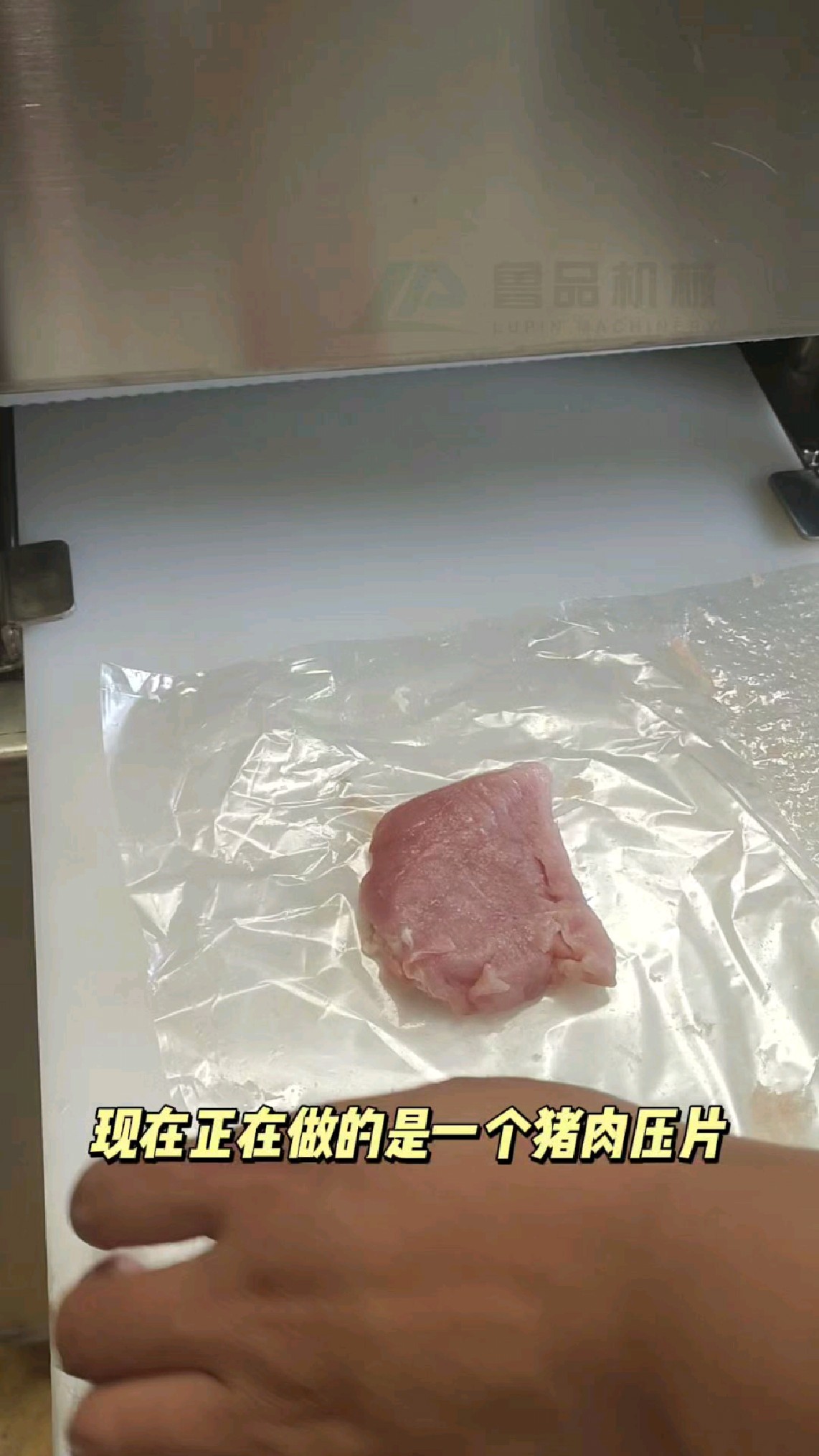 小型商用门头压片机(牛肉猪肉鸡胸肉等)