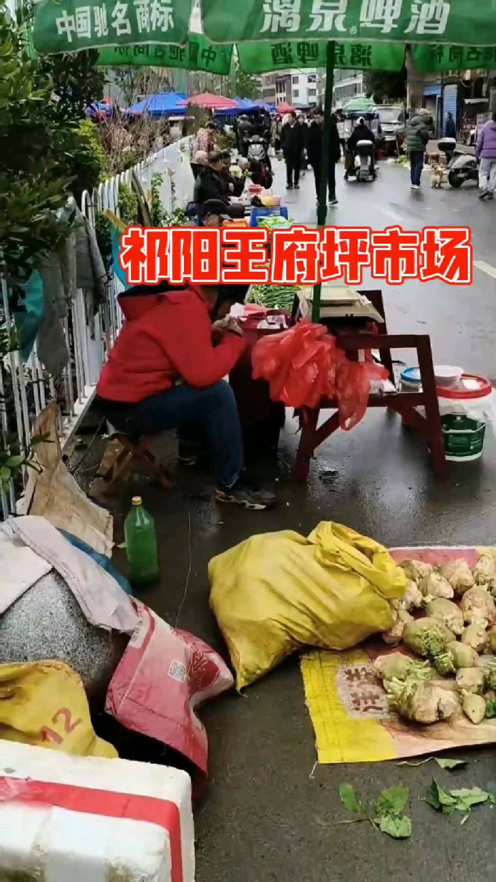 祁阳王府坪佬人家好皂烈啊!卖小菜冒开称捡甲馒头恰[捂脸][捂脸]