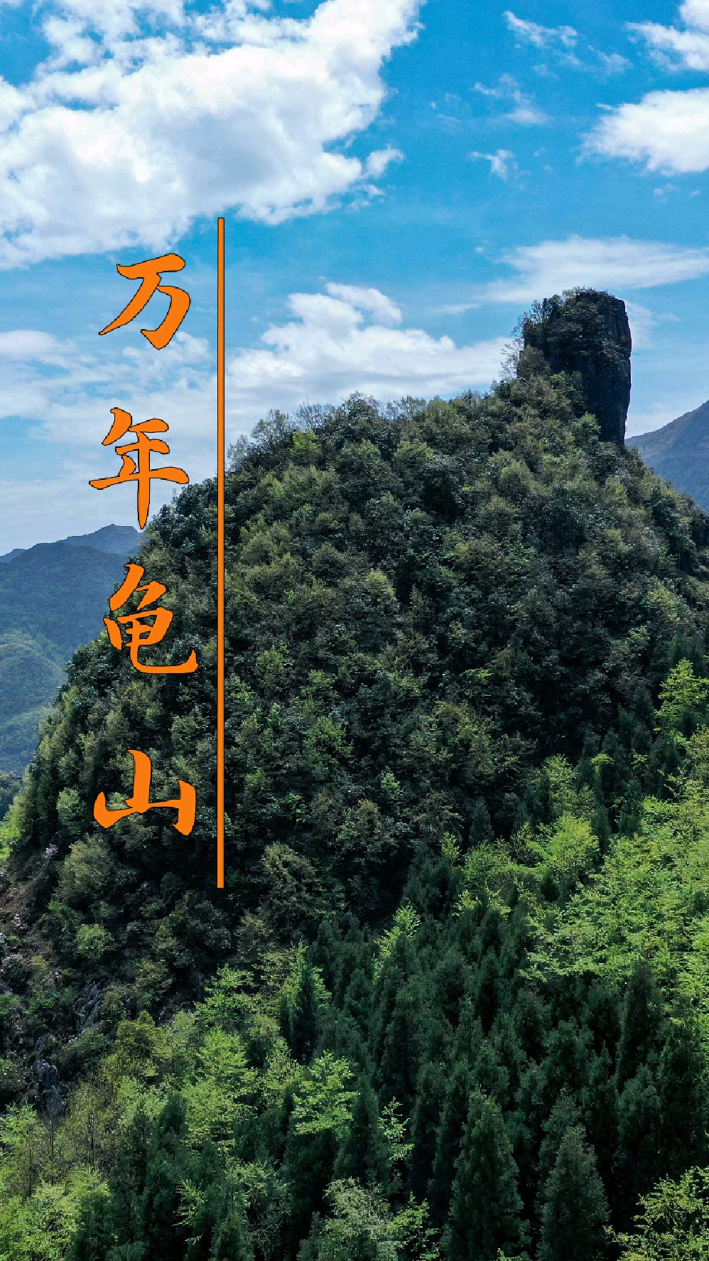 贵州深山发现“万年龟”,像不像您自己看!
