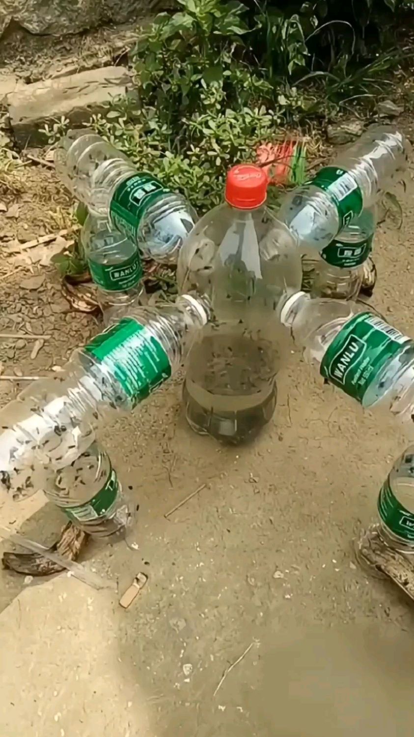 用几个塑料瓶制作的捉苍蝇神器