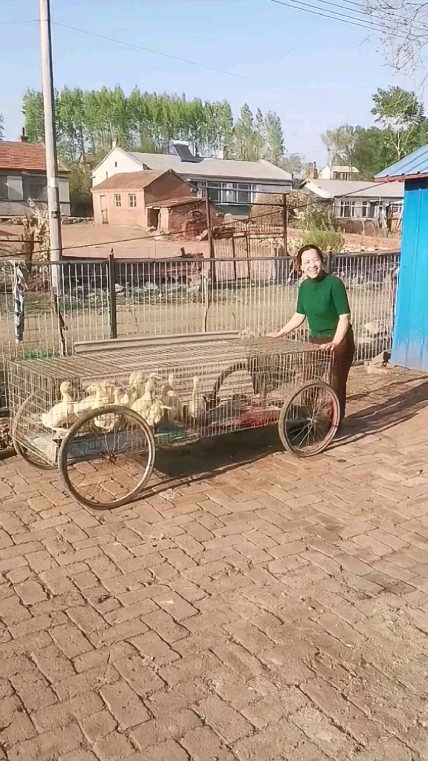 高手制作可移动式鸡笼子