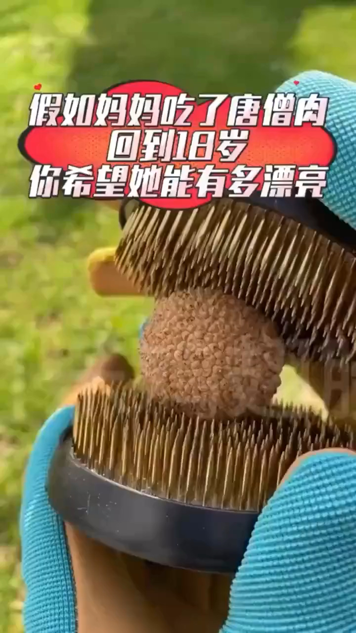 假如妈妈吃了唐僧肉,回到18岁,你希望他能有多漂亮?