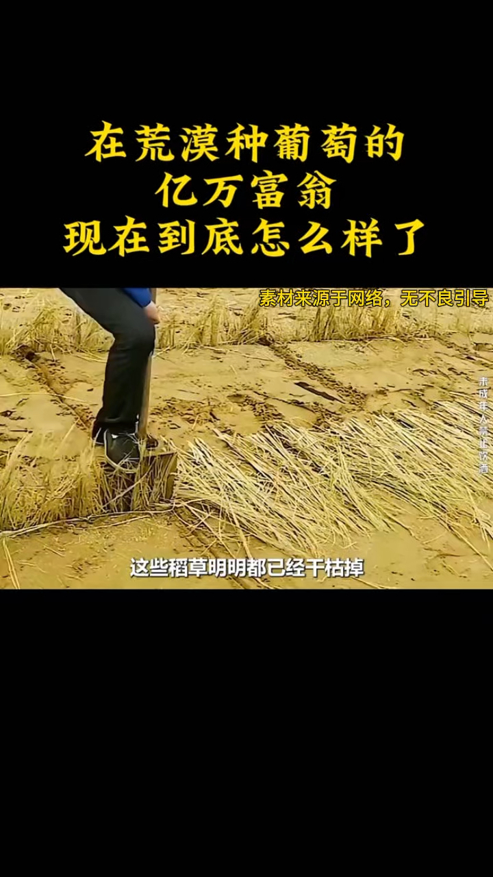亿万富翁在荒漠种葡萄,没想到酿造的葡萄酒,不输法国葡萄酒