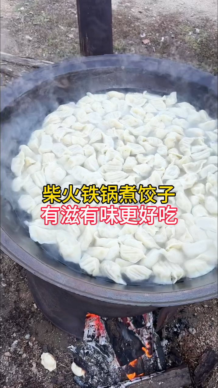 暑假回老家,柴火铁锅煮饺子,有滋有味更好吃