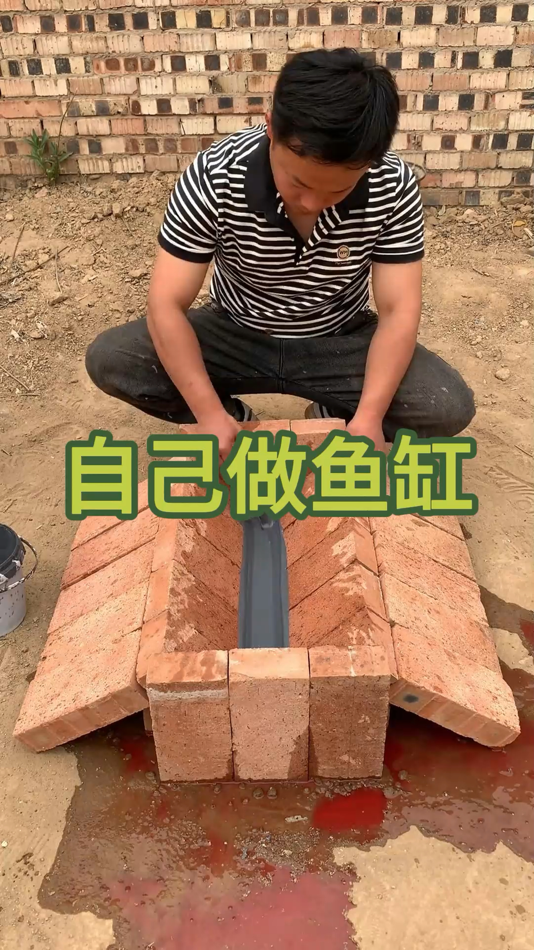 自己做鱼缸,又省钱还有成就感