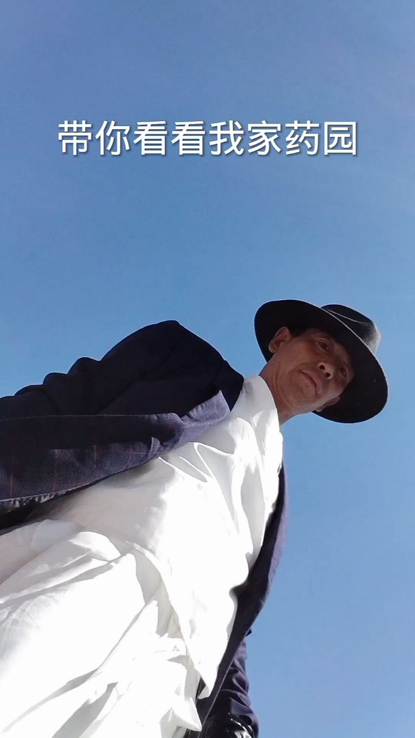 养生健康的野山菜