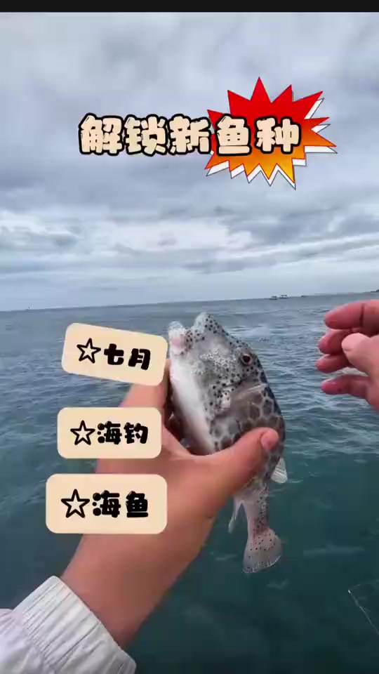 泰国海钓鱼种也太丰富了，解锁新鱼种