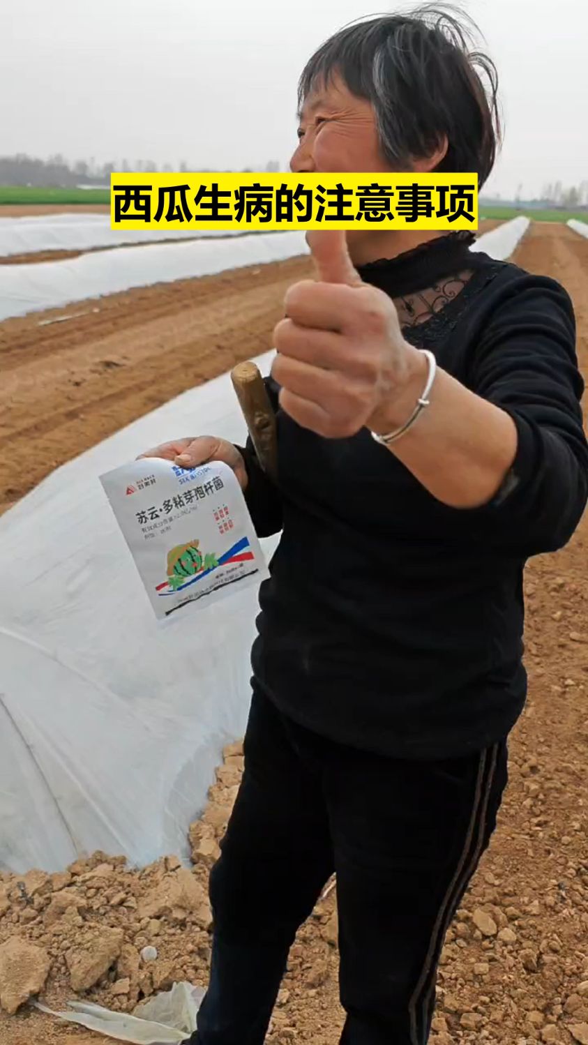 西瓜六必治 西瓜甜瓜杀菌增产专用 青枯 炭疽 白粉 枯萎炭疽有特效
