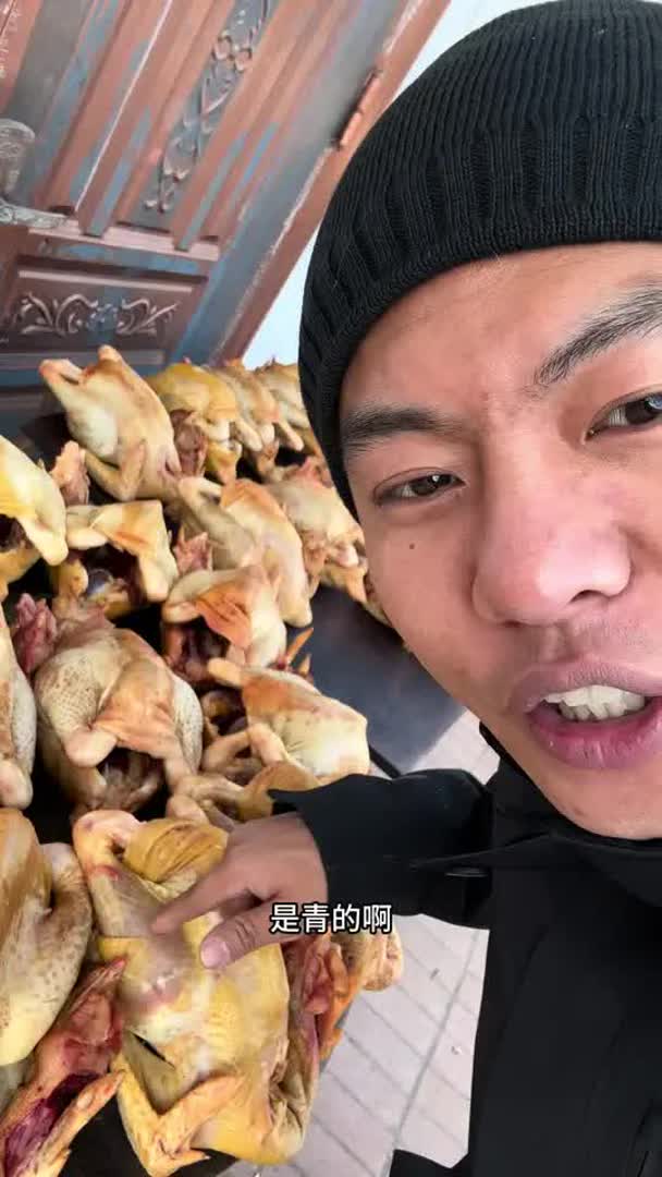  正经的散养11个月小公鸡