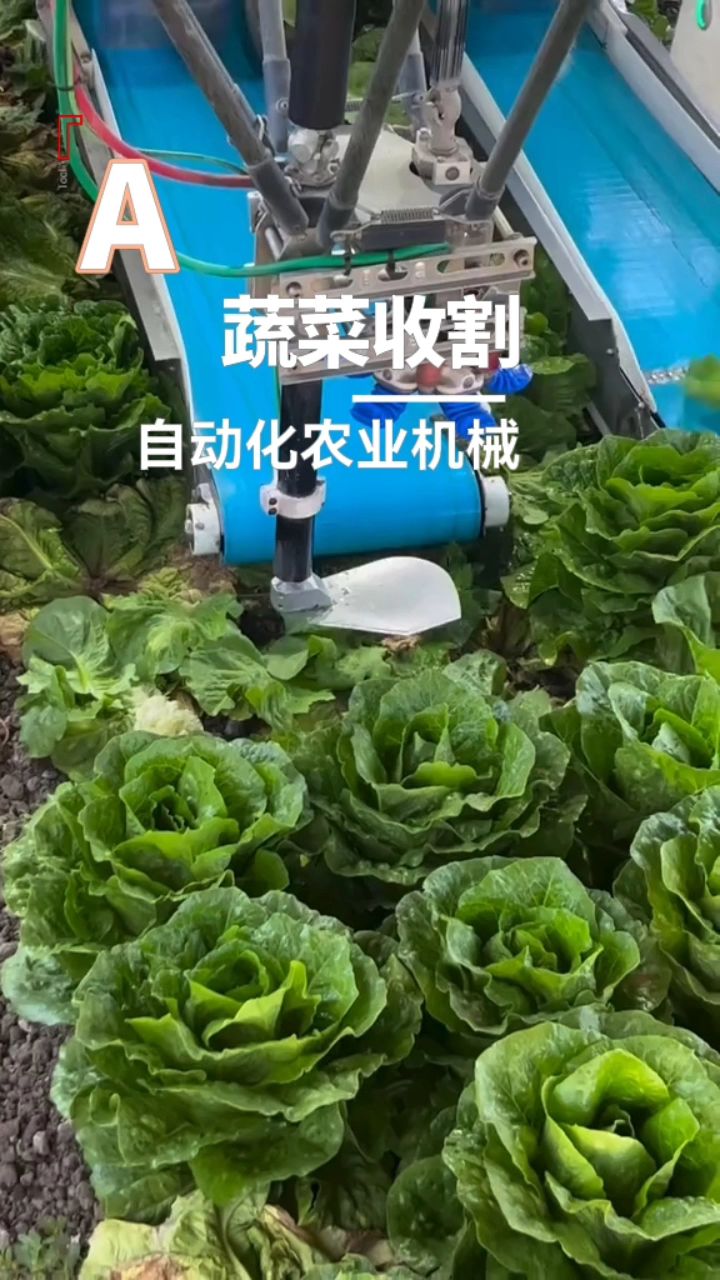 自动化农业机械之蔬菜收割机