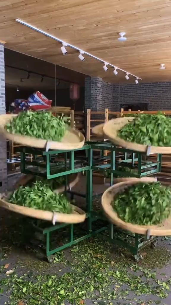 茶叶自动化杀青机