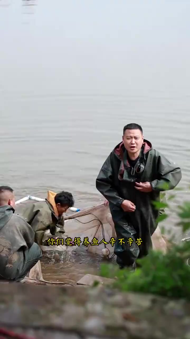 自贡跳水鱼的做法,再也不怕吃不到正宗的了