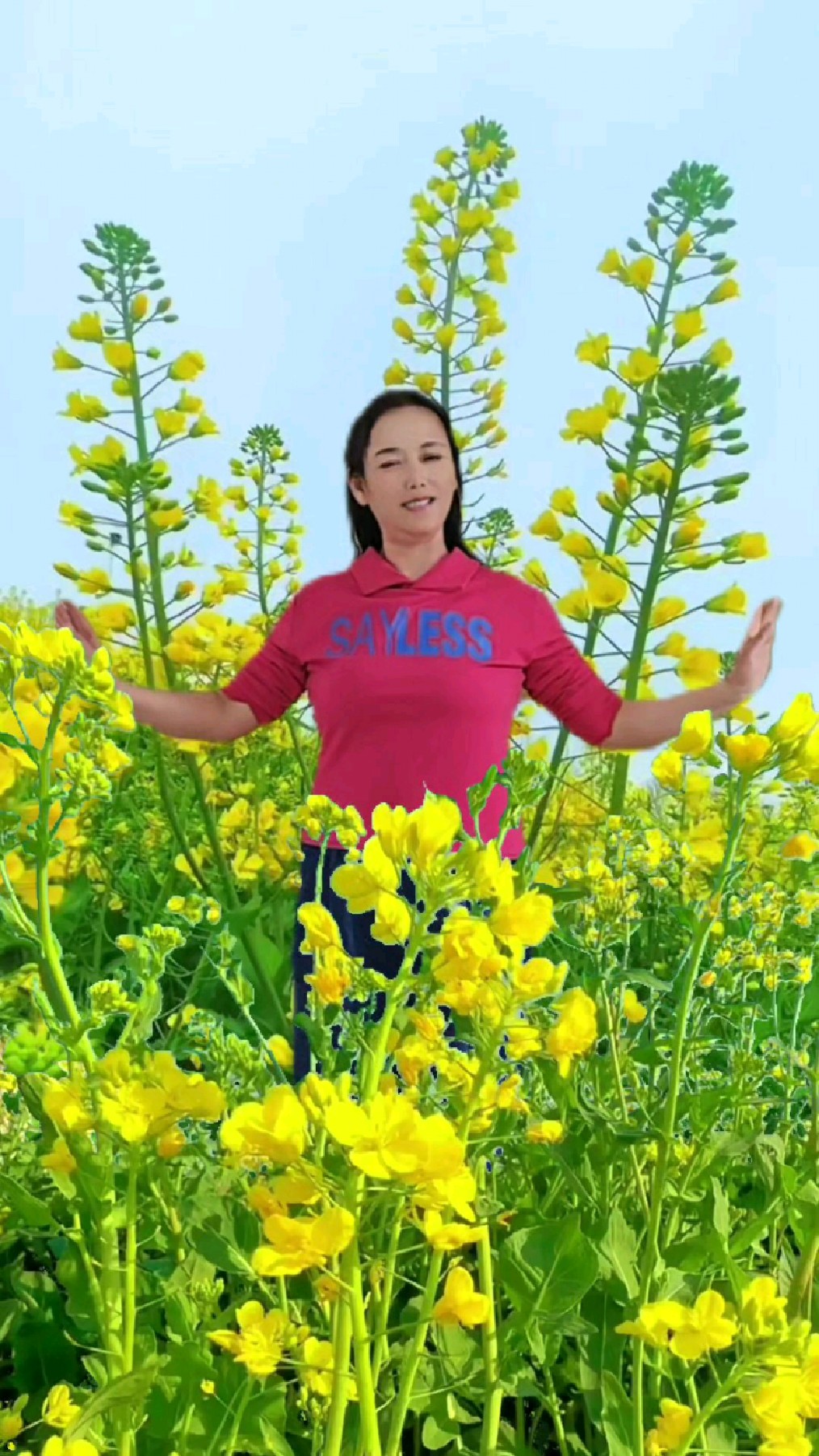 油菜花儿黄,油菜花儿香,我在花中唱