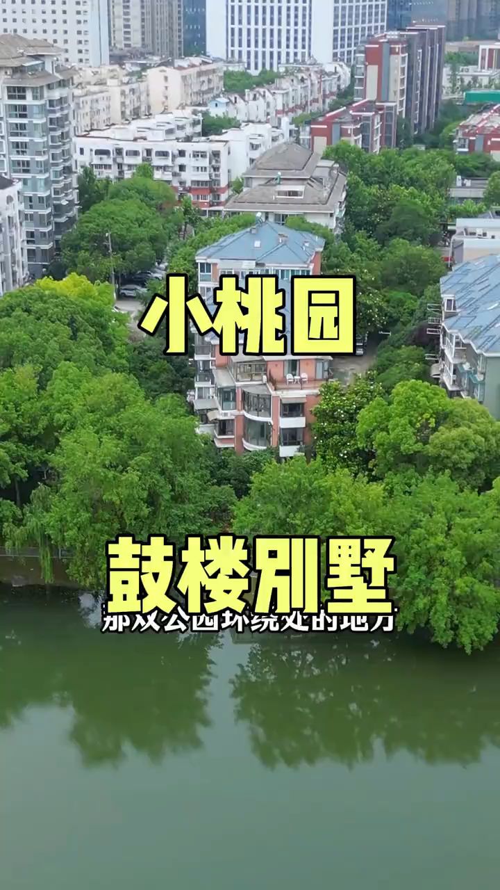 真的很难想象，南京小桃园公园旁还有临湖联排别墅