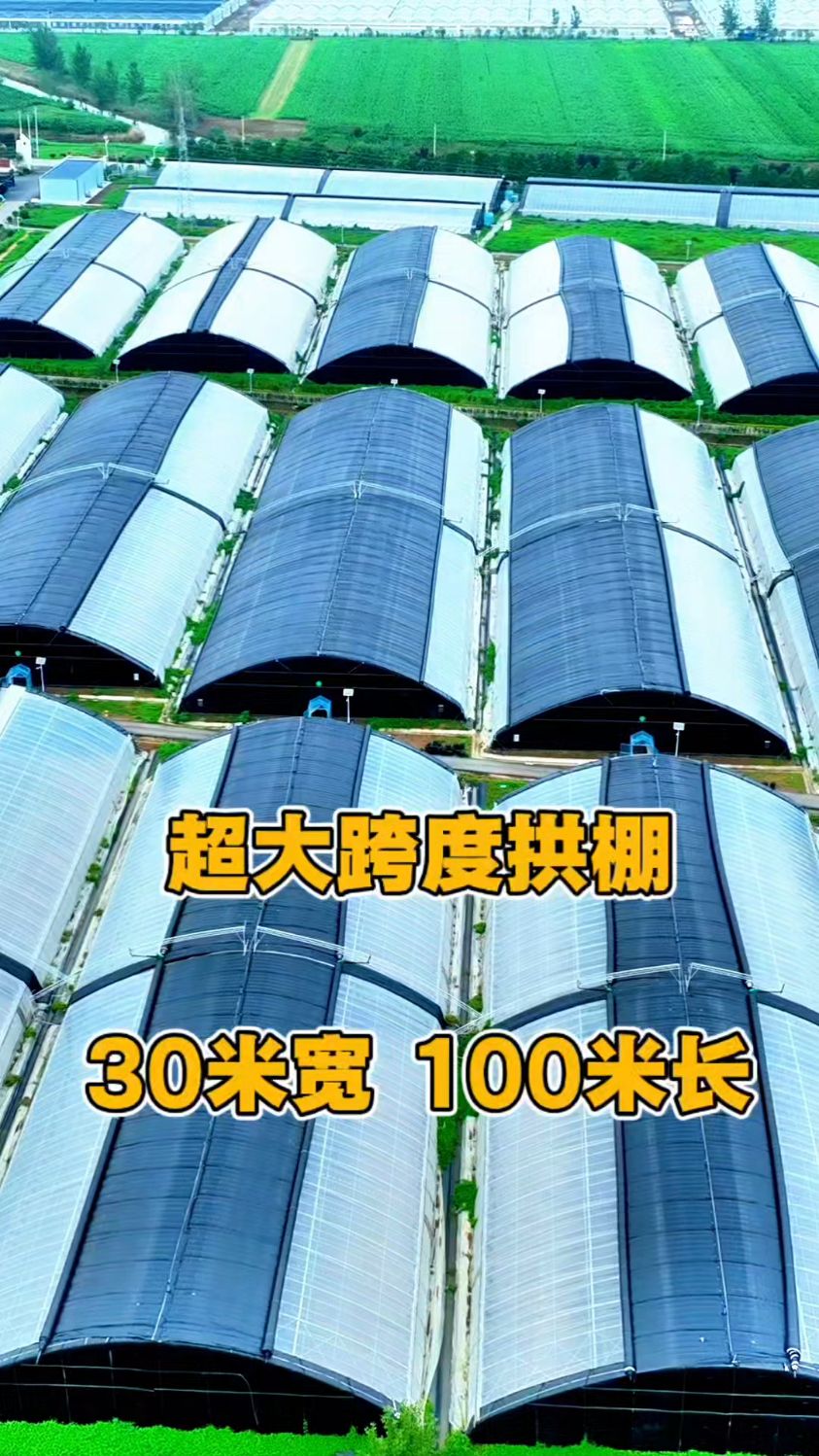 30米宽,100米长,蔬菜种植大暖棚 #大跨度蔬菜大棚 #全钢架大棚