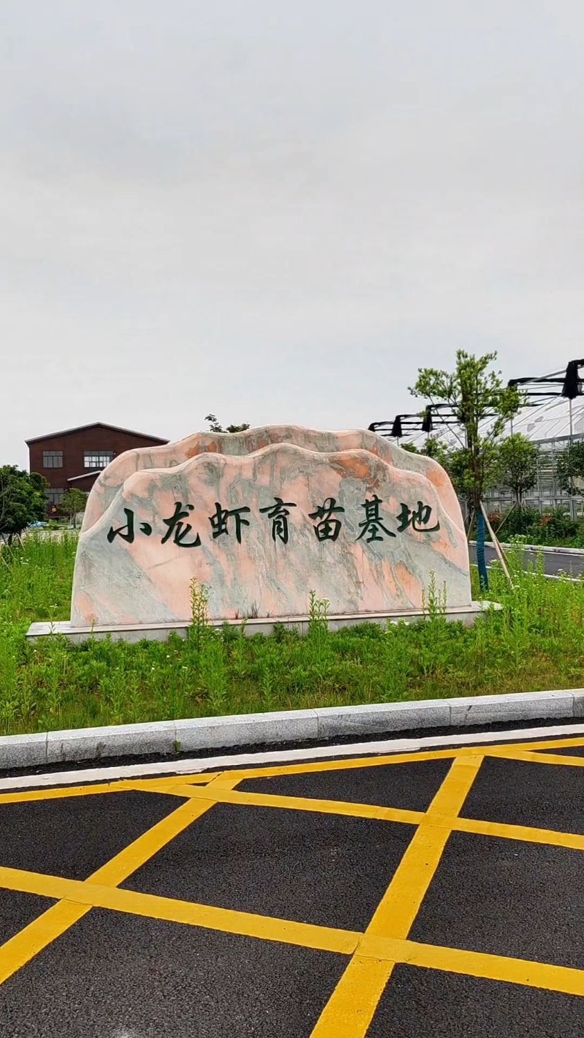 小龙虾育苗繁育大棚#鱼菜共生 #水产育苗温室 #小龙虾养殖大棚