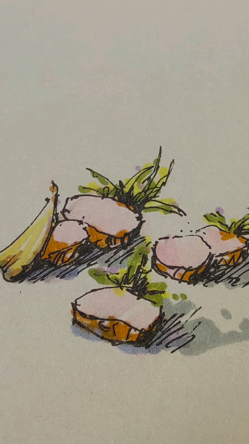 菜品策划设计手绘