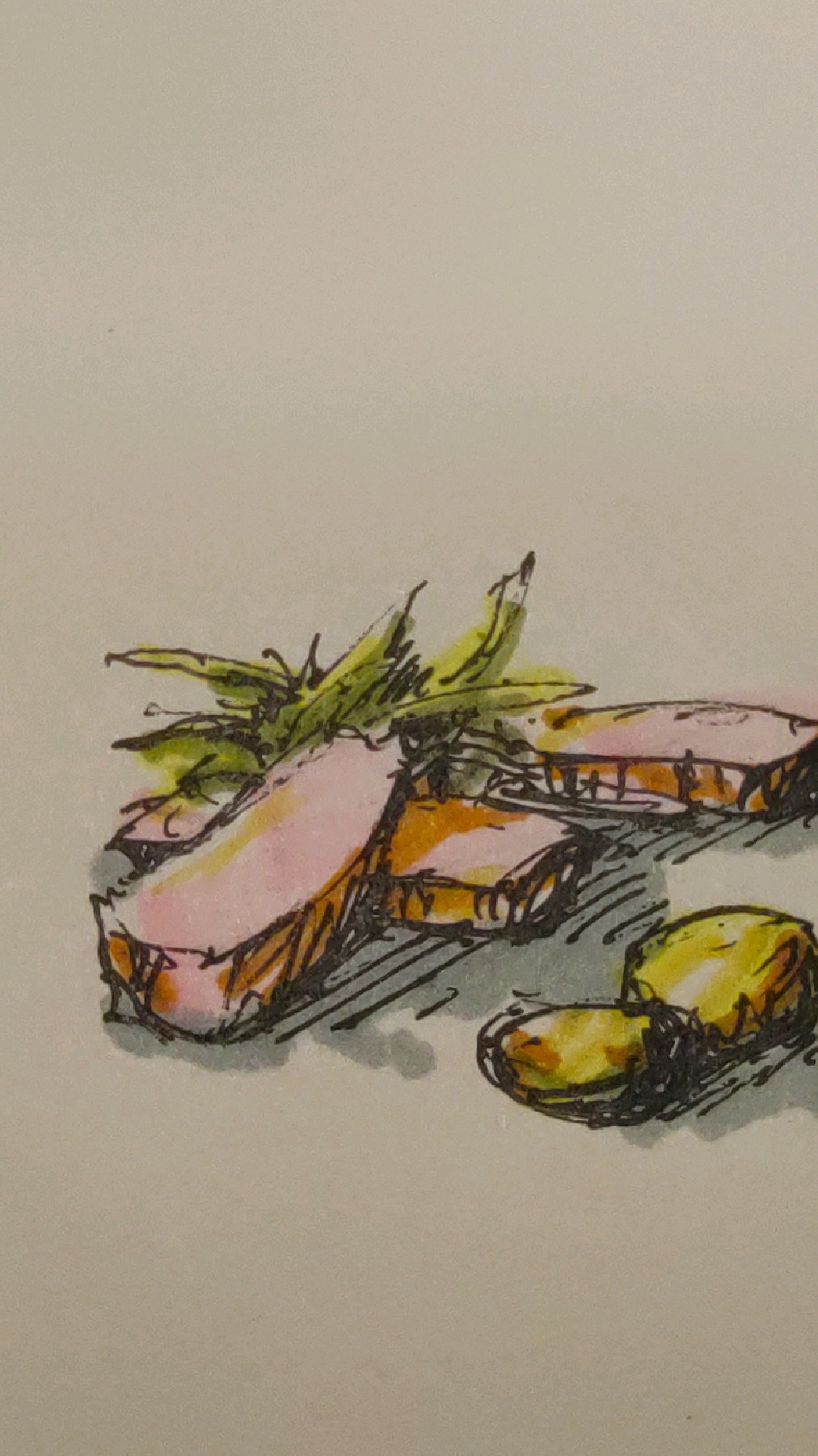 菜品策划设计手绘