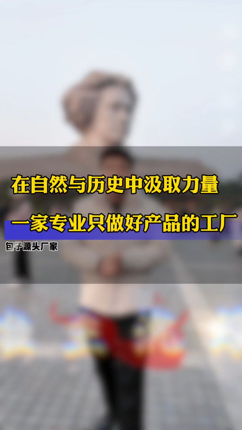 在自然与历史中汲取力量#包子#面点大全#面点加工厂#早餐半成品