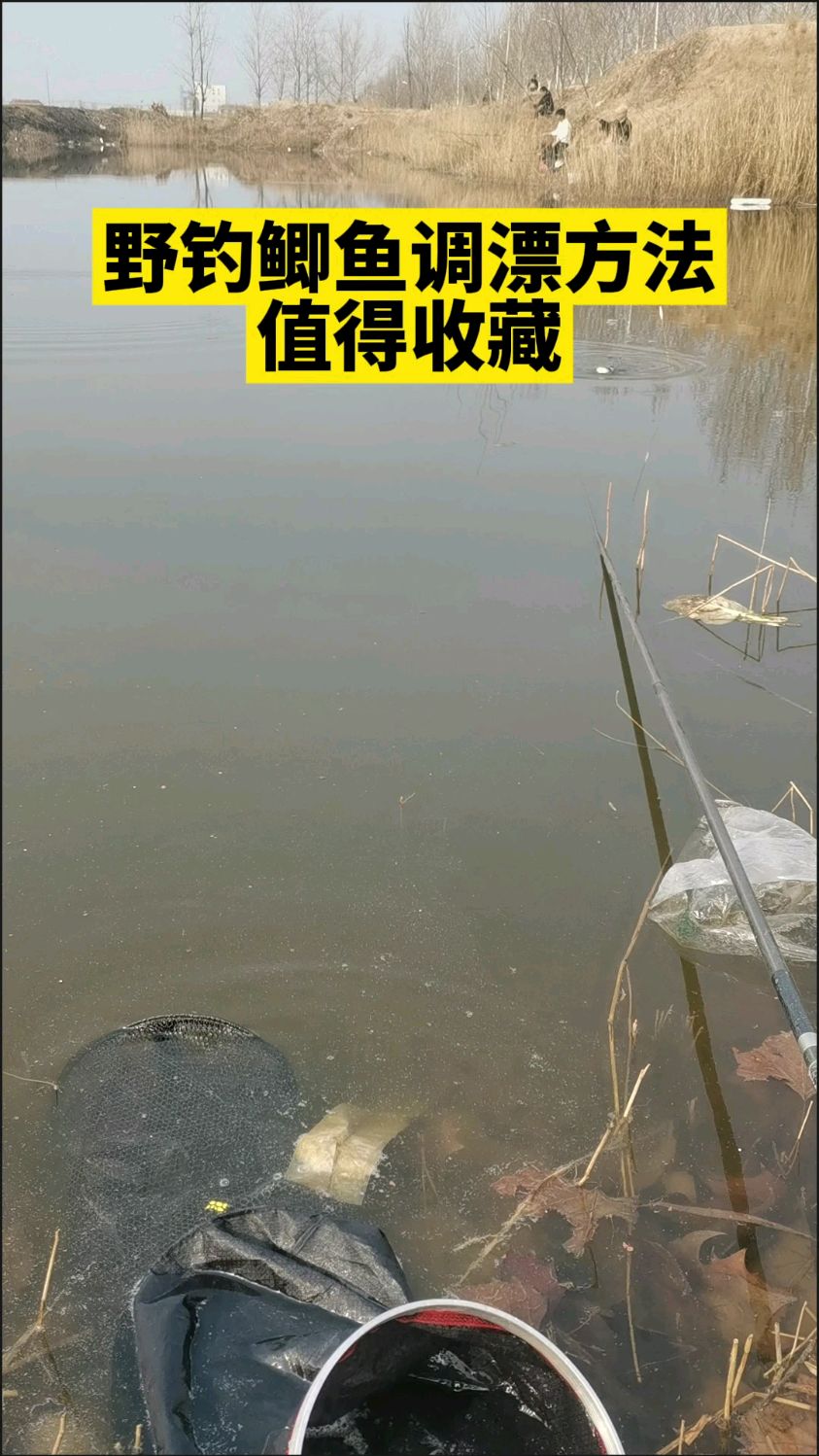 野钓鲫鱼调漂方法,值得收藏